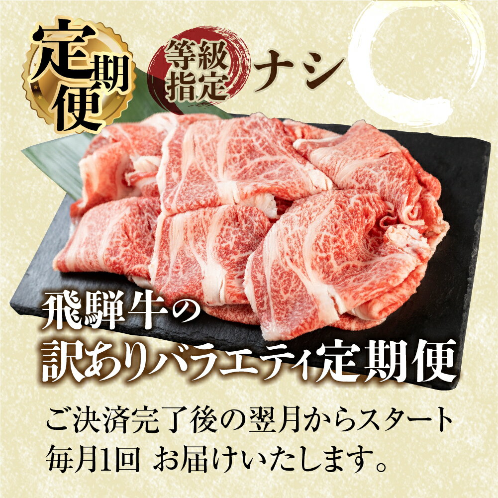 【ふるさと納税】【 定期便 】 訳あり 飛騨牛 バラエティ 3回 計1.9kg すき焼き 焼肉 切り落とし 赤身 霜降り 部位おまかせ 肉 牛肉 お肉 和牛 冷凍 岐阜県 等級 お任せ 炒め物 牛丼 カレー キャンプ アウトドア 国産 不揃い ブランド牛 48000円 [S608]