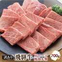 【ふるさと納税】 飛騨牛 A5等級 焼肉 用 700g 大判 部位おまかせ のため 訳あり 訳アリ 肩 ロース 霜降り 焼き肉 やきにく 黒毛和牛 にく アウトドア キャンプ BBQ 肉 牛肉 お肉 和牛 冷凍 霜降り 日時指定不可 A5 25000円 S427