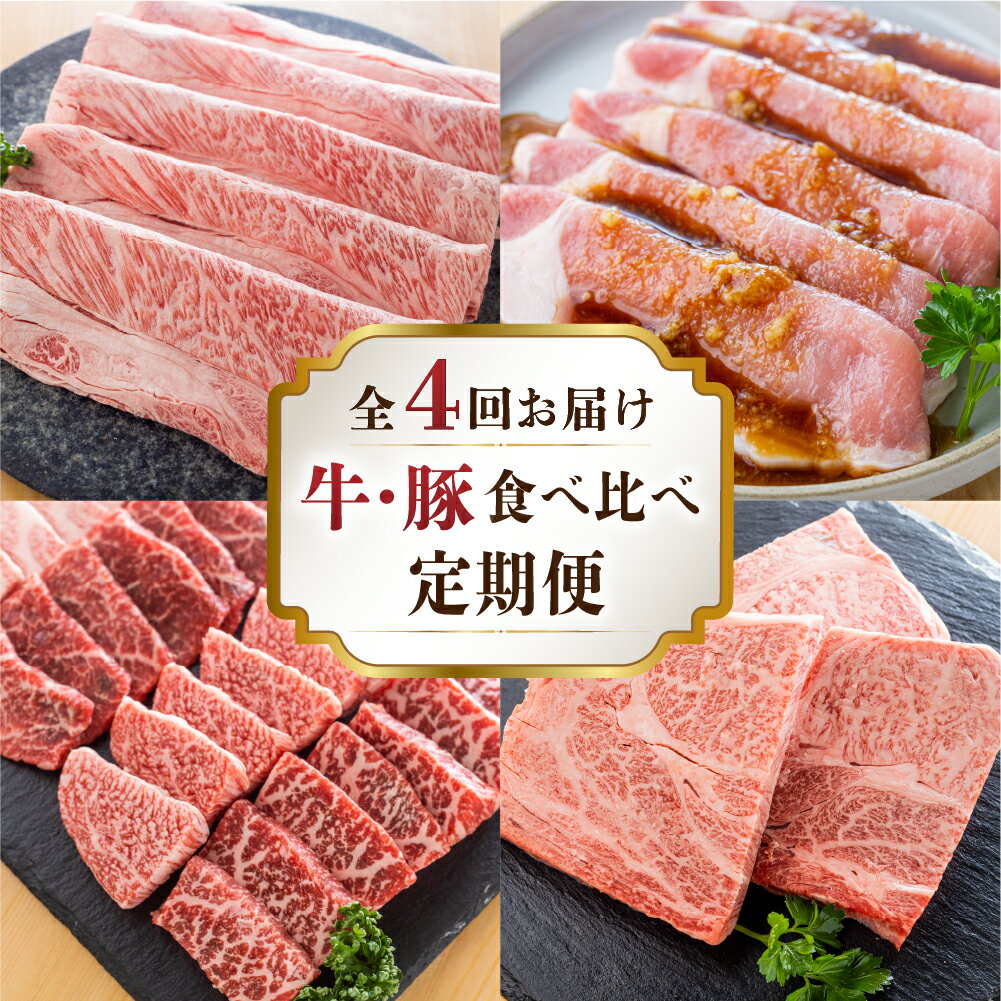 【ふるさと納税】《定期便》4回 飛騨牛 結旨豚 食べ比べ A5等級 すきしゃぶ用 焼肉4種 生姜焼き ロースステーキ 国産牛 国産豚 豚肉 牛肉 ゆいうまぶた セット すき焼き しゃぶしゃぶ 焼き肉 …