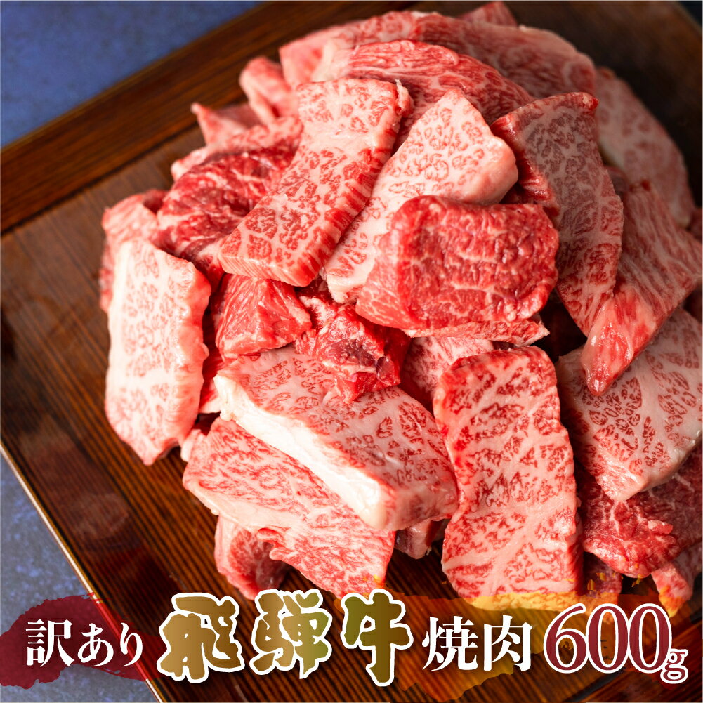 【ふるさと納税】 訳あり 飛騨牛 焼肉 切落し 600g 切り落とし 部位お任せ 肉 牛肉 お肉 和牛 冷凍 岐阜県 等級 お任せ BBQ 国産 不揃い ブランド牛 17000円 [S540]