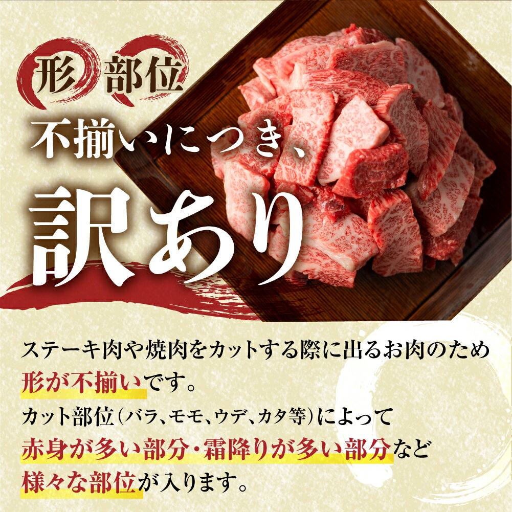 【ふるさと納税】 訳あり 飛騨牛 焼肉 切落し 600g 切り落とし 部位お任せ 肉 牛肉 お肉 和牛 冷凍 岐阜県 等級 お任せ BBQ 国産 不揃い ブランド牛 17000円 [S540]