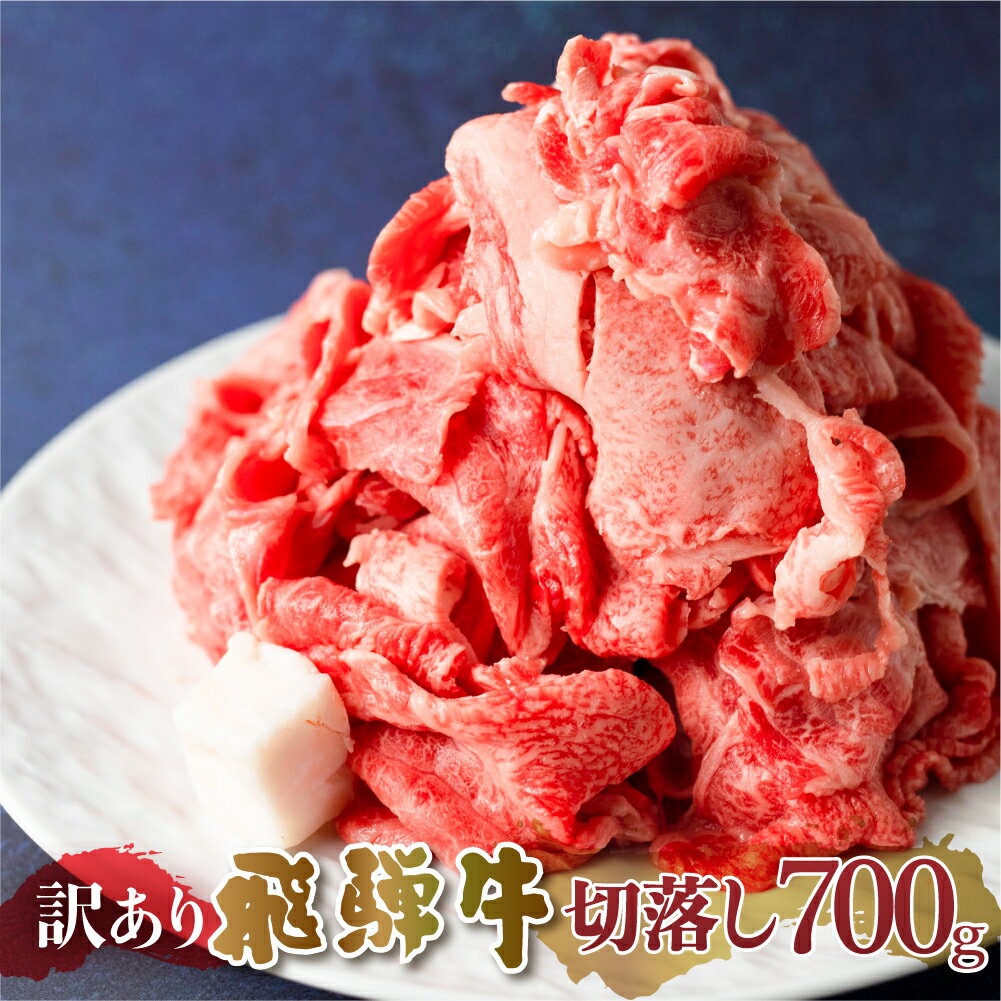 【ふるさと納税】 訳あり 飛騨牛 切落し 700g 切り落とし 部位お任せ 肉 牛肉 お肉 和牛 冷凍 岐阜県 等級 お任せ 炒め物 牛丼 国産 不揃い ブランド牛 11000円 [S541]