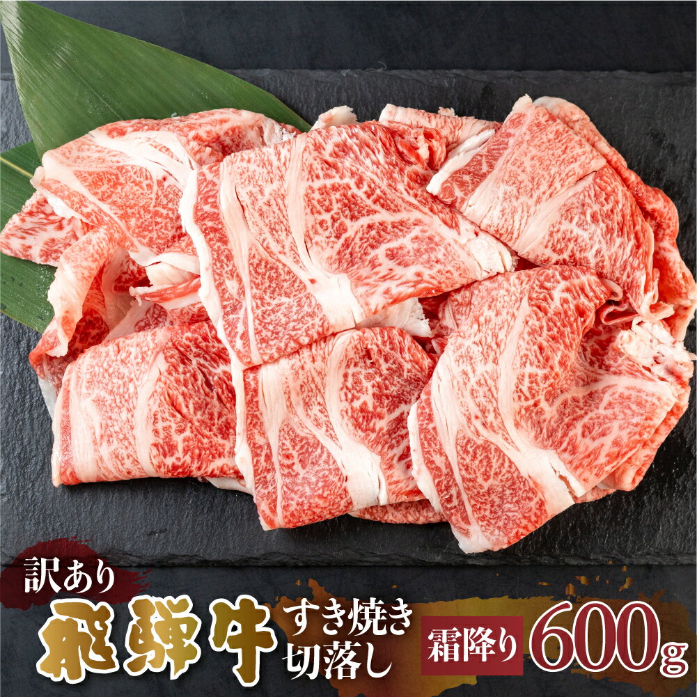 【ふるさと納税】 訳あり 飛騨牛 すき焼き用 切落し 600g 切り落とし すき焼き 霜降 霜降り肉 肉 牛肉 お肉 和牛 冷凍 岐阜県 部位お任せ 形 不揃い 国産 ブランド牛 17000円 [S545]