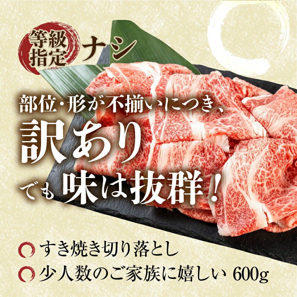 【ふるさと納税】 訳あり 飛騨牛 すき焼き用 切落し 600g 切り落とし すき焼き 霜降 霜降り肉 肉 牛肉 お肉 和牛 冷凍 岐阜県 部位お任せ 形 不揃い 国産 ブランド牛 17000円 [S545]