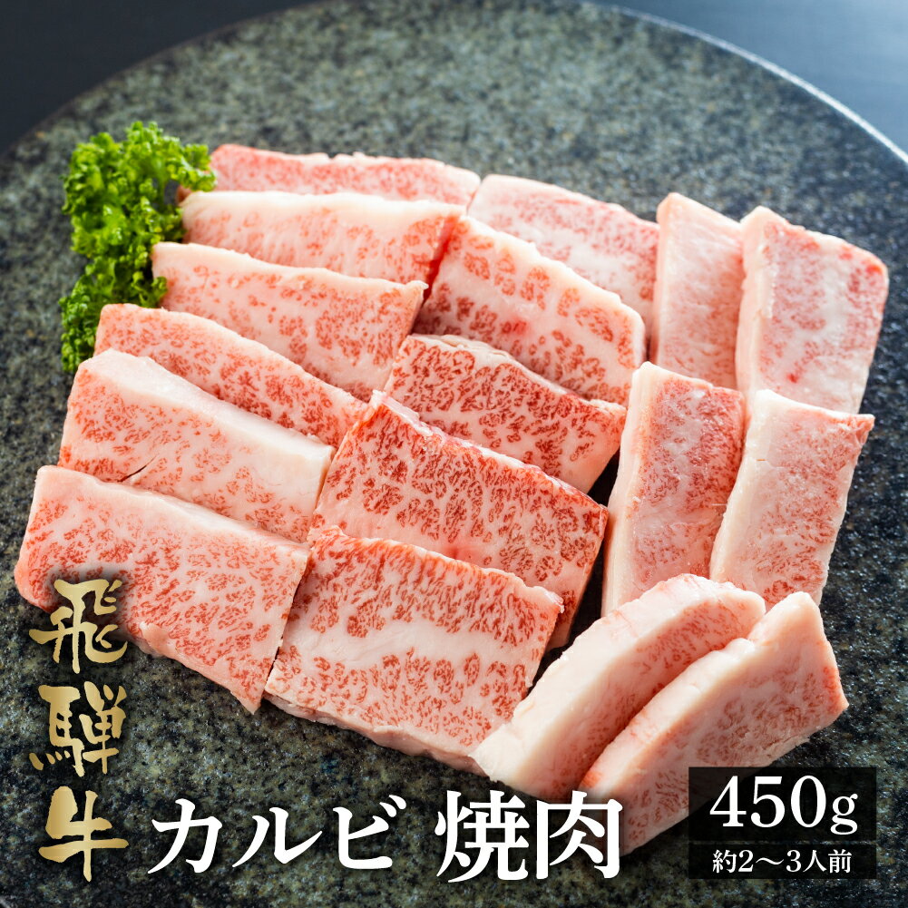 【ふるさと納税】飛騨牛カルビ焼肉用 450g A4 A5 等級 白川郷 てんから 焼肉 焼き肉 バーベキュー BBQ アウトドア キャンプ 家族 和牛 牛肉 霜降 カルビ グルメ 飛騨 簡易梱包 訳あり 訳アリ 20000円 2万円 [S174]