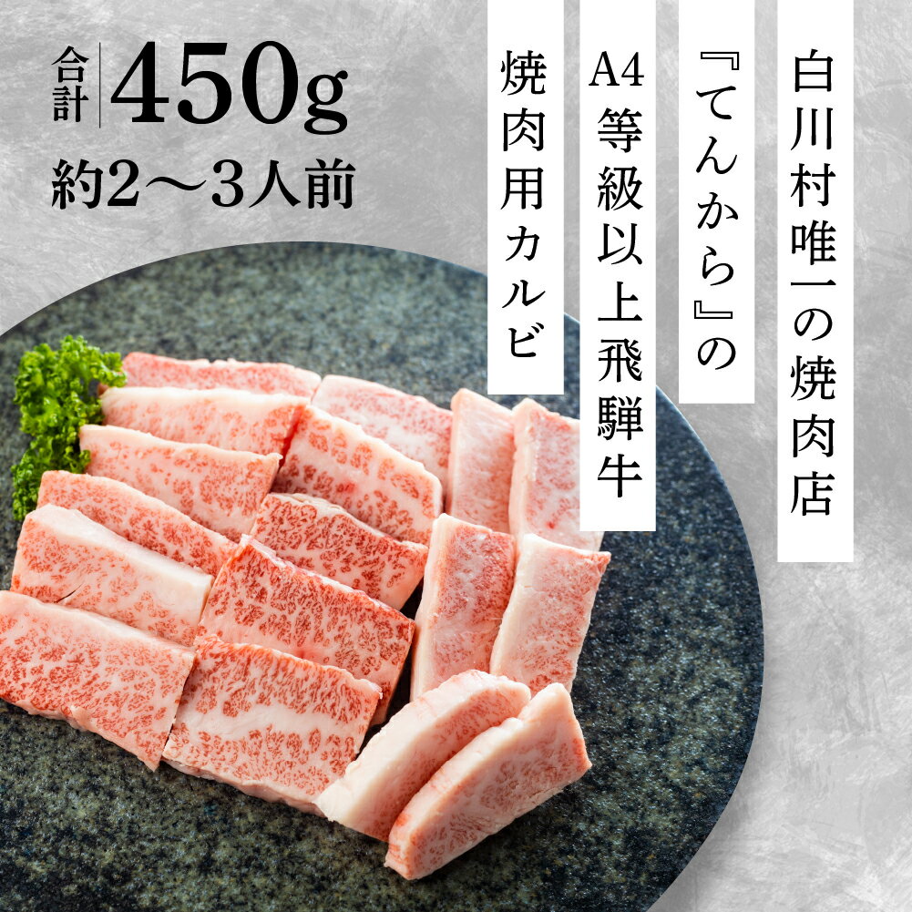 【ふるさと納税】飛騨牛カルビ焼肉用 450g A4 A5 等級 白川郷 てんから 焼肉 焼き肉 バーベキュー BBQ アウトドア キャンプ 家族 和牛 牛肉 霜降 カルビ グルメ 飛騨 簡易梱包 訳あり 訳アリ 20000円 2万円 [S174]