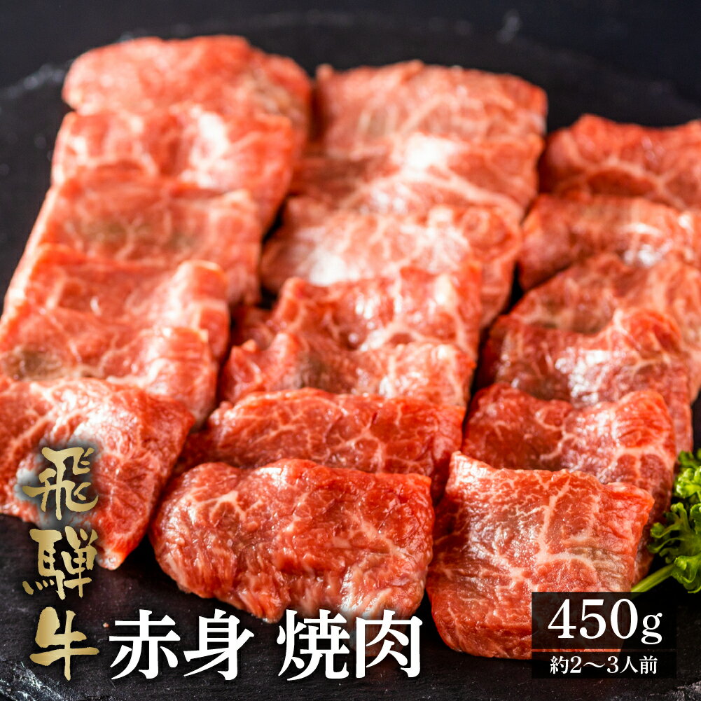 飛騨牛 【ふるさと納税】飛騨牛もも焼肉用 450g A4 A5 等級 白川郷 てんから 焼肉 焼き肉 バーベキュー BBQ アウトドア キャンプ 家族 和牛 肉 牛肉 赤身 飛騨 国産 グルメ もも 簡易梱包 訳あり 訳アリ 20000円 2万円 [S176]