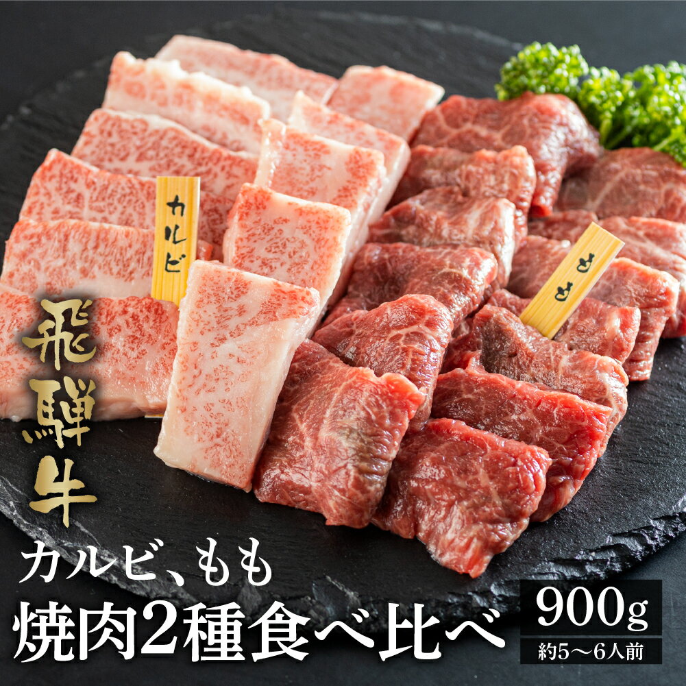 飛騨牛 【ふるさと納税】最高級 飛騨牛 カルビ もも 焼肉用 450g×2種 計900g 部位 食べ比べ セット A4 A5 等級 白川郷 てんから 焼き肉 牛肉 簡易梱包 訳あり 訳アリ 40000円 4万円 [S178]