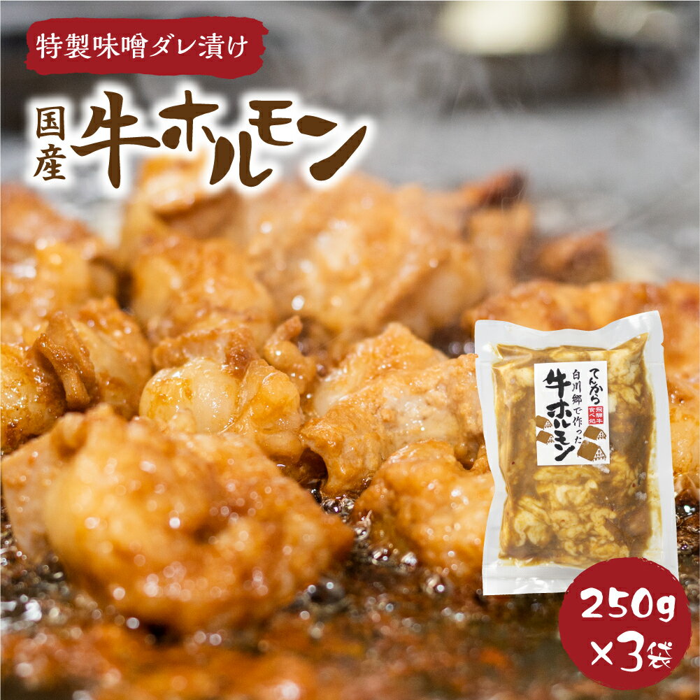 【ふるさと納税】 白川郷 自家製 牛ホルモン 250g×3袋セット 牛肉 国産牛ホルモン 味付け肉 味噌味 焼...