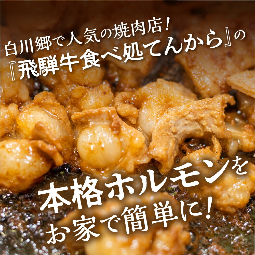 【ふるさと納税】 白川郷 自家製 牛ホルモン 250g×3袋セット 牛肉 国産牛ホルモン 味付け肉 味噌味 焼肉店 オリジナル 簡単 おつまみ 冷凍 味付き 白川村 てんから アウトドア BBQ 簡易梱包 訳あり 訳アリ 11000円 [S289]