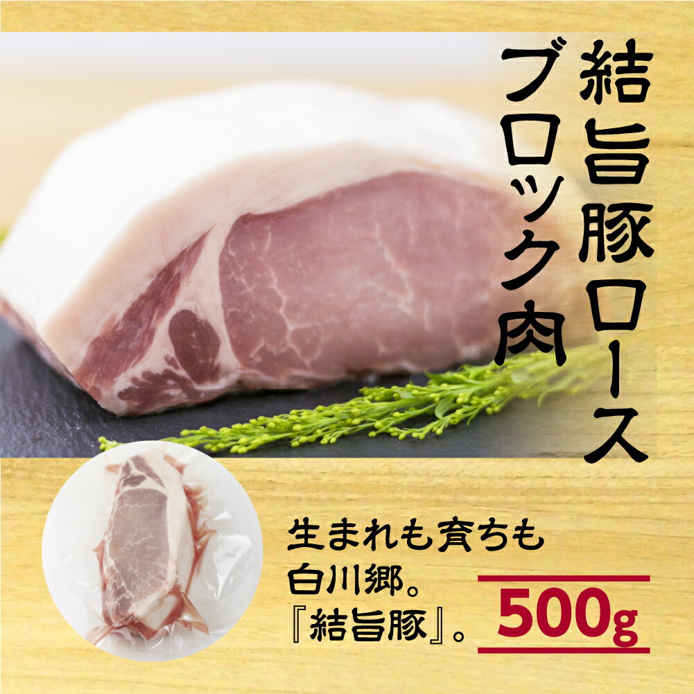 【ふるさと納税】 結旨豚ロース ブロック肉 500g 塊肉 ローストポーク ステーキ トンカツ かつ 肉 豚肉 国産 ブランド豚 白川郷 焼肉 焼き肉 バーベキュー BBQ キャンプ てんから 簡易梱包 訳あり 訳アリ 6000円 岐阜県 白川村 抗生物質 合成抗菌剤不使用 [S322]