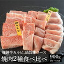 飛騨牛 【ふるさと納税】飛騨牛 焼肉用 カルビ 結旨豚 ロース 焼肉用 各450g 計900g 食べ比べ セット ゆいうまぶた ブランド豚 A4 A5 等級 飛騨牛 国産牛 牛肉 国産豚 豚肉 白川郷 てんから 焼き肉 BBQ 簡易梱包 訳あり 訳アリ 冷蔵 25000円 S432