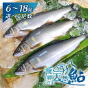 【ふるさと納税】尾数が選べる 白川村産 飛騨庄川の天然鮎 6尾 8尾 12尾 18尾 18cm以上 鮎 天然 あゆ 魚 川魚 岐阜県 白川郷 世界遺産 塩焼き BBQ 10000円 15000円 20000円 30000円･･･