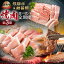 ڤդ뤵Ǽǡ ͵ &  3 Ϥ   Ƥ 䤭ˤ    ֿ ߤ     A4 A5  Ƥ󤫤 츩 ¼ 椤ޤ֤  BBQ ȥɥ ¢ ʰ׺ Τ   500005 [S575]