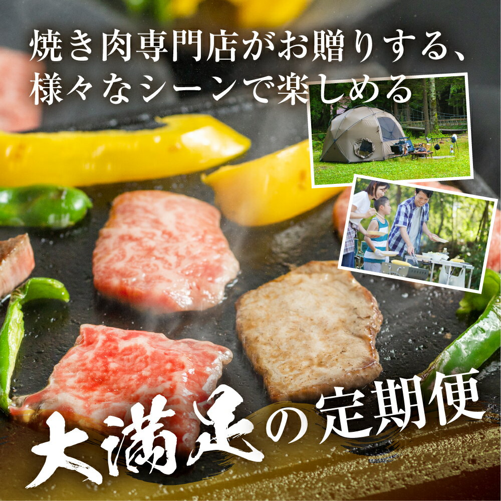 【ふるさと納税】 焼肉 定期便 3回 お届け 白川郷 飛騨牛 ホルモン 牛 鶏 豚 とんちゃん けいちゃん もも カルビ 赤身 霜降り 食べ比べ 肉 牛肉 国産 A4 A5 てんから 岐阜県 白川村 キャンプ 贅沢 BBQ アウトドア 冷蔵 簡易梱包 のため 訳あり 訳アリ 50000円 5万円 [S577]