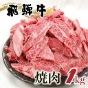 【ふるさと納税】【年内発送】飛騨牛 焼肉 1kg 訳あり 不揃い カルビ 牛肉 