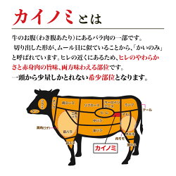 【ふるさと納税】飛騨牛 希少部位 ステーキ カイノミ 100g×3 計300g JAひだ ステーキ 牛肉 黒毛和牛 お歳暮 敬老の日 ギフト 20000円 [S344]･･･ 画像2