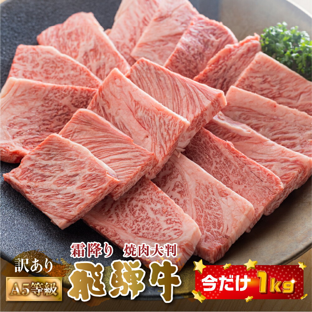 【ふるさと納税】【 9月限定 】飛騨牛 A5等級 焼肉用 今だけ 1kg 500g×2P 小分け 大判 訳あり 焼き肉 BBQ 肉 牛肉 お肉 和牛 冷凍 霜降り A5 25000円 [S427]･･･