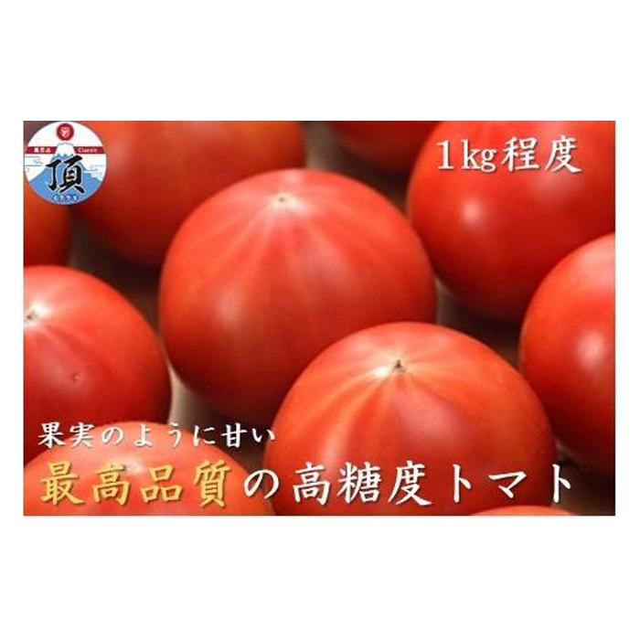 高糖度トマト「アメーラ」1kg程度 | 野菜 トマト 甘み 静岡産 通年 やさい 食品 人気 おすすめ 送料無料