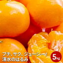 【ふるさと納税】【2023年2月上旬より順次発送】プチ、サク、ジューシー！清水のはるみ　【果物類・柑橘類・フルーツ・みかん】　お届け：2023年2月上旬〜2月末･･･