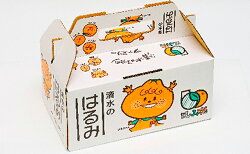 【ふるさと納税】【2024年2月上旬より順次発送】静岡県清水生まれの美味しい柑橘「はるみ約2.5kg」 10,000円　【果物類・フルーツ・みかん・柑橘類】　お届け：2024年2月上旬〜2024年2月末･･･ 画像1