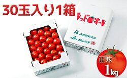 【ふるさと納税】【12月より順次発送】完熟中玉トマト『レッドオーレ』1箱 5000円　【野菜・トマト】　お届け：2023年12月～2024年3月末 画像1