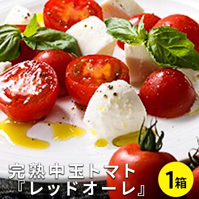 【ふるさと納税】【12月より順次発送】完熟中玉トマト『レッドオーレ』1箱 5000円　【野菜・トマト】　お届け：2023年12月～2024年3月末