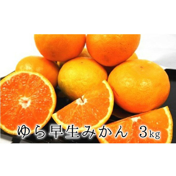 【ふるさと納税】【2024年10月上旬より順次発送】甘みと酸味がギュッ　ゆら早生みかん3kg　果物類・柑橘類・みかん・フルーツ・ミカン・蜜柑　お届け：2024年10月上旬～2024年10月下旬のサムネイル
