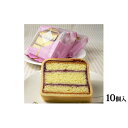 【ふるさと納税】【郷土菓子処 秋月堂】あぱれいゆ ミニミニ 10個入り | お菓子・スイーツ・ケーキ(4)