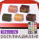 【ふるさと納税】ひとくち羊かん20個入詰合せ×2箱　【和菓子・ようかん・羊羹・羊かん・和菓子】