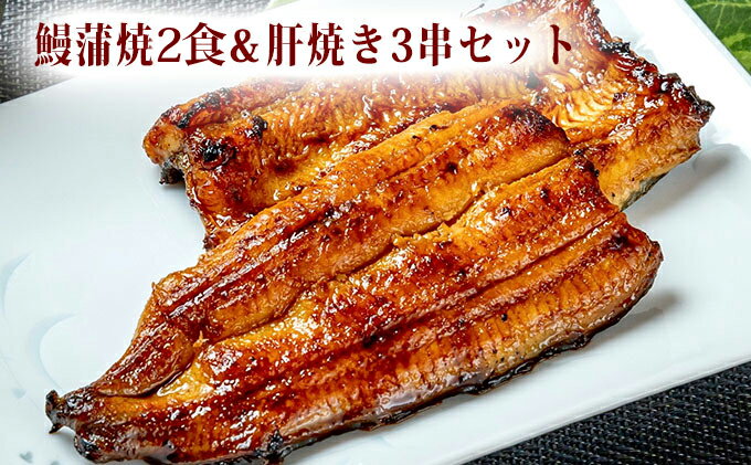 【ふるさと納税】〈うなぎの篝火〉国産うなぎ真空パック蒲焼2食・鰻肝焼き3串セット 海の幸 【配送不可：離島】　【うなぎ・鰻・ウナギ・真空パック】