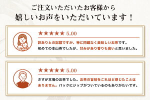 【ふるさと納税】【訳あり】本山茶2本 5000円 オススメお茶 【 お茶 緑茶 茶葉 日本茶 静岡茶 静岡県産 訳アリ品 茶葉 】