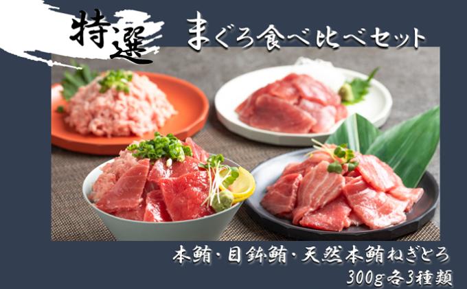 【ふるさと納税】まぐろ食べ比べセット 計900g (300g 3種)：本鮪切落し300g メバチ鮪切落し300g 天然本鮪ねぎとろ300g【静岡市清水】冷凍 マグロ たたき ネギトロ丼 手巻き寿司 小分け 即席 海の幸 【配送不可：離島】　【 魚貝類 海鮮 寿司ネタ つまみ 】