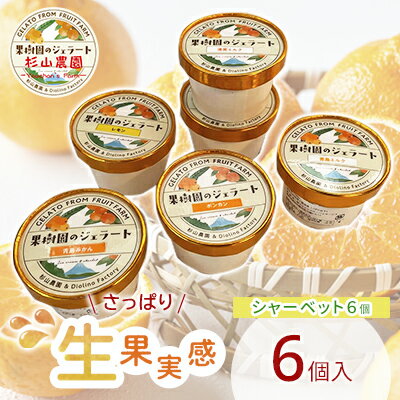 2位! 口コミ数「0件」評価「0」果樹園のジェラート 夏にさっぱりシャーベット6個セット 100ml×6個 冷凍 ギフト アイスクリーム シャーベット　【 スイーツ ひんやり･･･ 