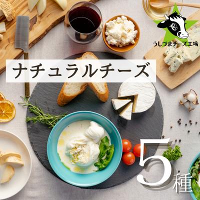 【ふるさと納税】うしづまチーズ工場の ナチュラルチーズ5種セレクト ナチュラルチーズ モッツァレラチーズ ブルーチーズ 酸凝固ソフトタイプ 生カマンベールチーズ カチョカヴァッロ 静岡 牛…