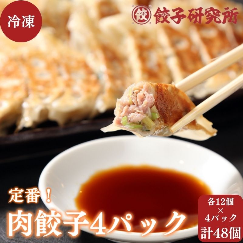 【ふるさと納税】【餃子研究所】各12個 x 4パック・計48個（肉餃子4パック） 定番 ぎょうざ 海ぼうず 冷凍 選べる　【 惣菜 冷凍餃子 中華 夕飯 夜ごはん おかず お酒のあて おつまみ ビールのおつまみ 】