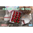 【ふるさと納税】【受付2024年3月10日まで】【贈答品】大粒 静岡 いちご 1箱 500g（品種：スターナイト）1粒32g以上＆糖度15度 冷蔵 苺 フルーツ　【果物類・フルーツ・果物類・いちご・苺・イチゴ】　お届け：2024年4月7日まで