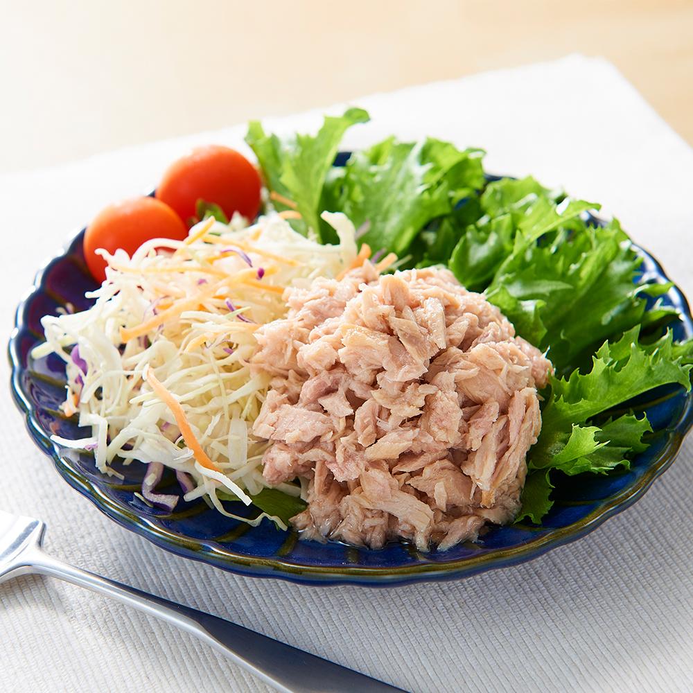 【ふるさと納税】かもめ屋 ツナ缶 ライトツナフレーク 油漬け 48缶 (12缶×4箱) 国産 化学調味料不使用 増粘剤不使用 ツナ まぐろ マグロ 鮪 缶詰 水産物 静岡県 静岡 | 缶詰 魚貝類 加工品等 静岡市 ツナ缶 ライトツナ フレーク 油漬け 魚介類 水産 食品 セット