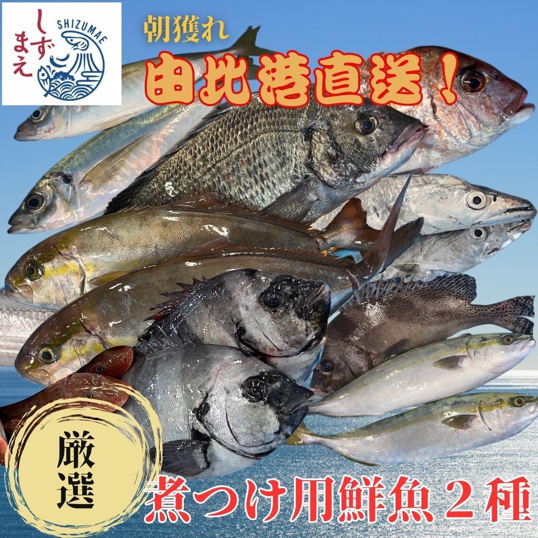 【ふるさと納税】しずまえ!煮つけ用鮮魚ボックス(厳選2種入り) | 魚 お魚 さかな 食品 人気 おすすめ 送料無料