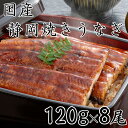 【ふるさと納税】【国産】静岡焼きうなぎ 120g×8食 合計960g | うなぎ ウナギ 焼きうなぎ 国産 魚 食品 加工食品 人気 おすすめ 送料無料