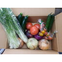【ふるさと納税】旬のお野菜詰め合わせセット【配送不可:北海道・沖縄・離島(一部除く)・島しょ部】◇ | 旬 野菜 詰め合わせ セット 人気 おすすめ 送料無料