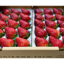 【ふるさと納税】【先行予約】厳選大粒静岡いちご2パック 総重量約900g(「すず・おいCベリー・紅ほっぺ」のいずれか2パック)冷蔵 苺 フルーツ◇【配送不可:北...