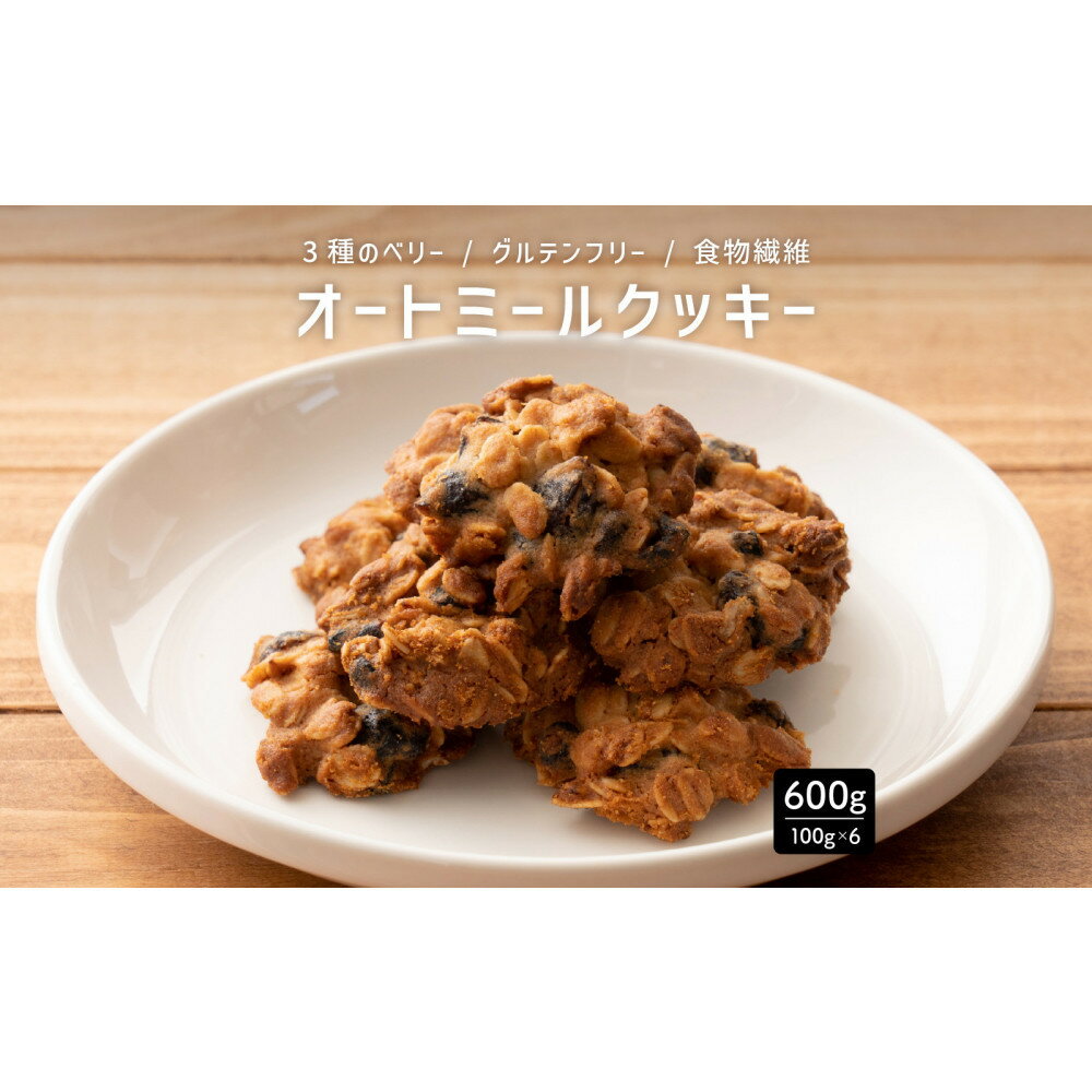 【ふるさと納税】オートミールクッキー 3種のベリー 600g(100g×6袋)