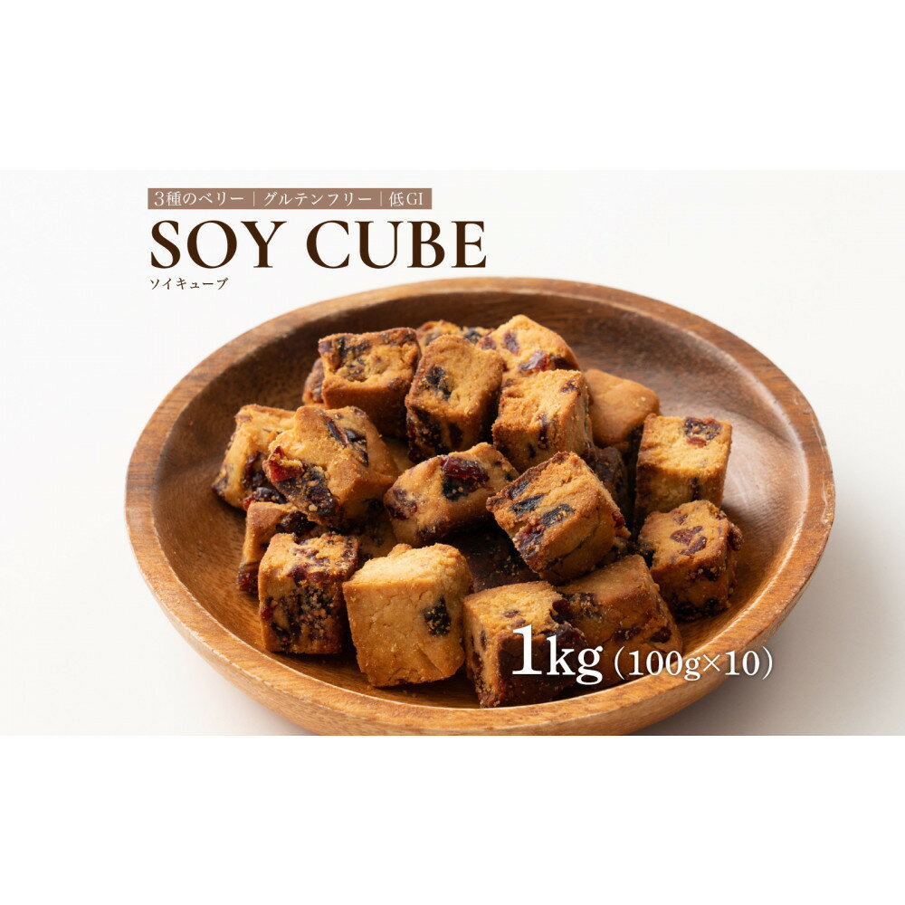【ふるさと納税】ソイキューブ 3種のベリー 1kg(100g×10袋)