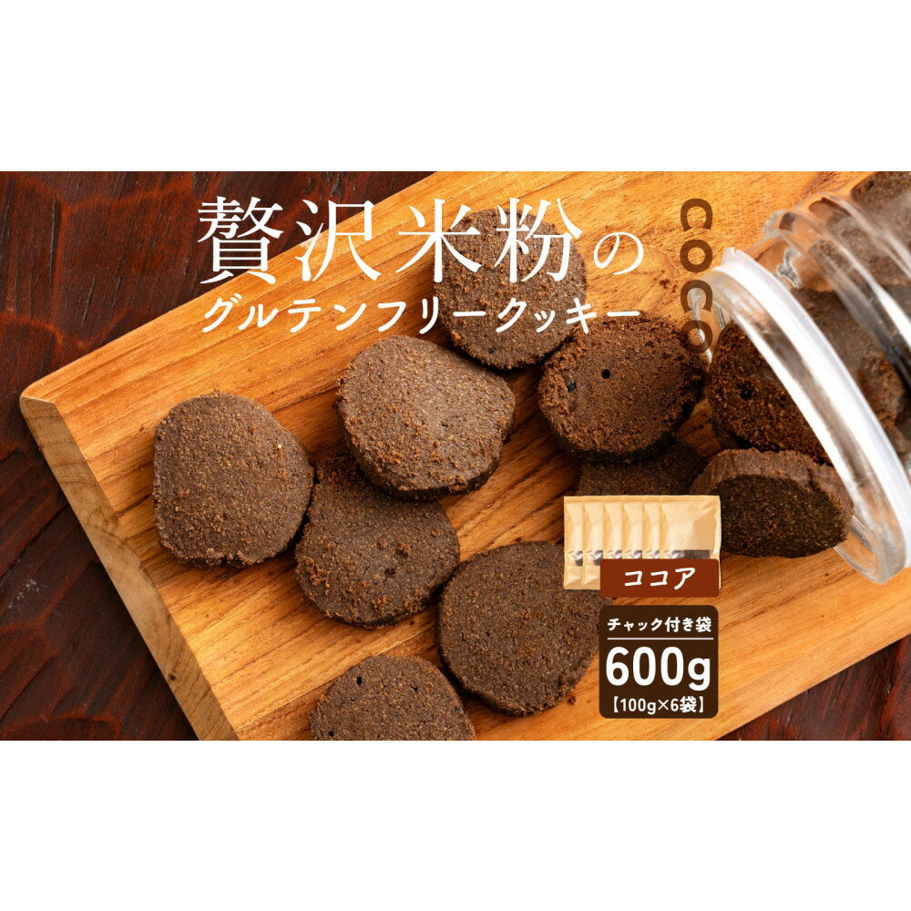 【ふるさと納税】贅沢米粉のクッキー ココア 600g(100g×6袋)