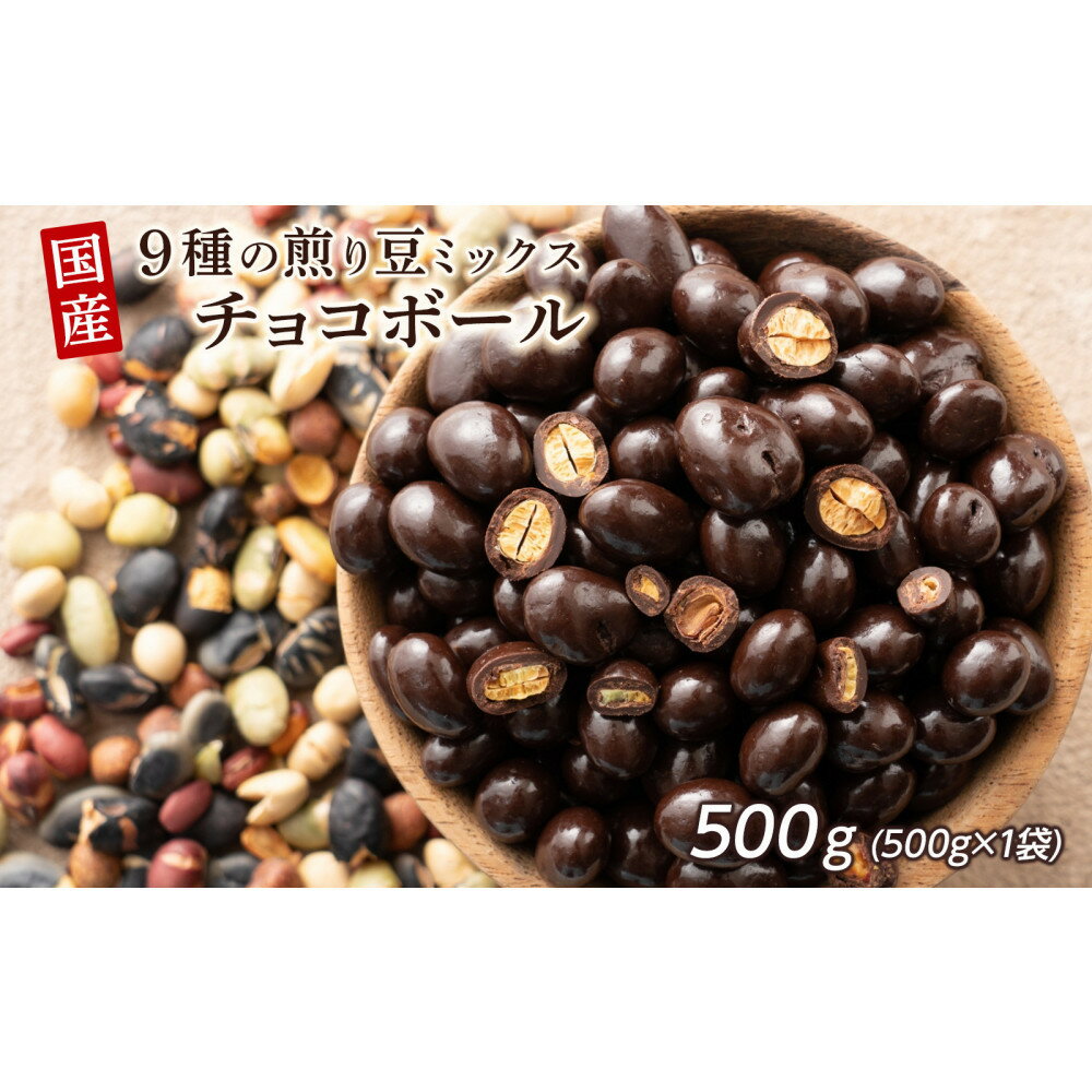 9種の煎豆ミックスチョコボール 500g(500g×1袋)