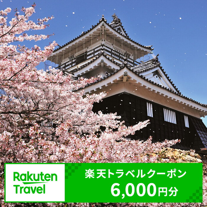 静岡県浜松市の対象施設で使える 楽天トラベルクーポン寄付額20,000円(6,000円クーポン) [高級宿・宿泊券・旅行]