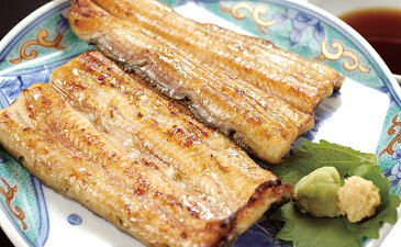 【ふるさと納税】浜名湖産鰻白焼き大3本入れ 【うなぎ・鰻】