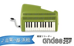 【ふるさと納税】ゆる〜い音色を楽しめる鍵盤リコーダー アンデス　【雑貨・日用品・鍵盤リコーダー ・楽器】 画像1