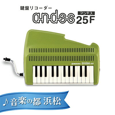 【ふるさと納税】ゆる〜い音色を楽しめる鍵盤リコーダー アンデス　【雑貨・日用品・鍵盤リコーダー ・楽器】